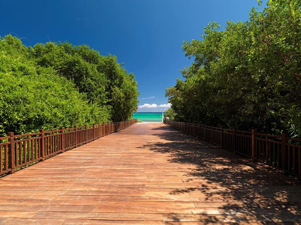 The Reserve Paradisus Playa Del Carmen (Adults Only) Природа снимка