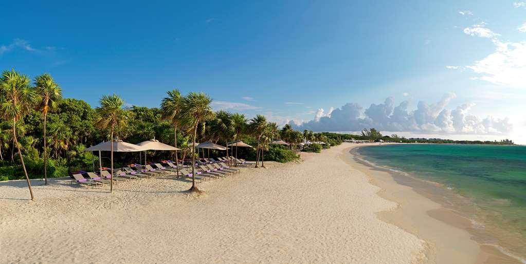 The Reserve Paradisus Playa Del Carmen (Adults Only) Природа снимка